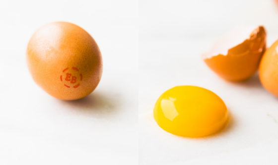 Why EB Eggs are the Most Popular Ingredient in Home Beauty Care Right Now