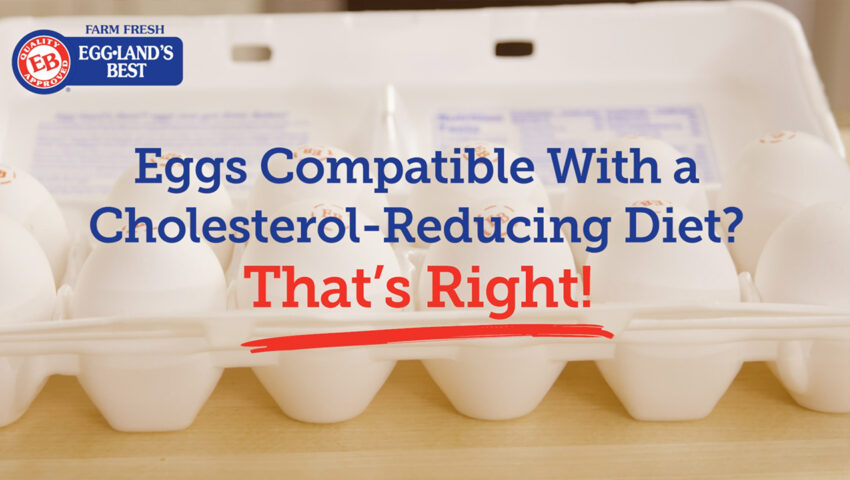 Cholesterol Youtube Cover