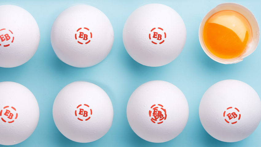 What Exactly Is the Egg Yolk Anyway